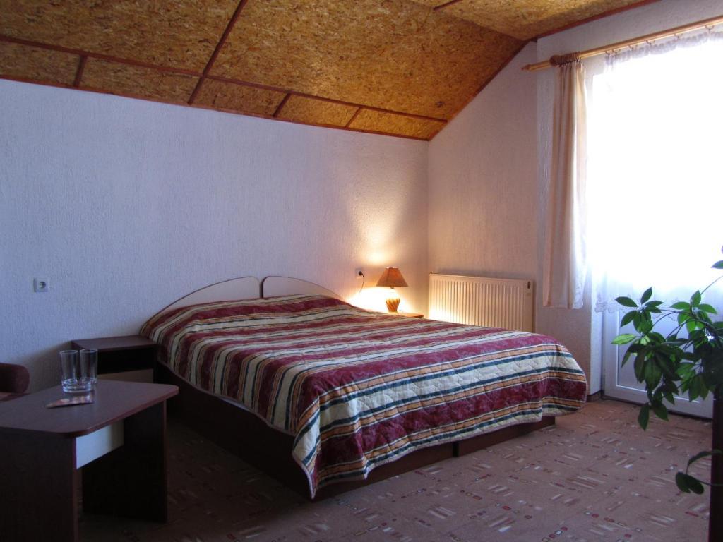 Michel Hotel Bansko Bilik gambar